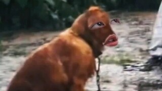 ครั้งสุดท้ายแล้ว ฉันขอเก็บหน้าไว้ให้ตัวเอง