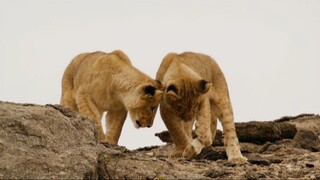 Namibia.Sanctuary.Of.Giants