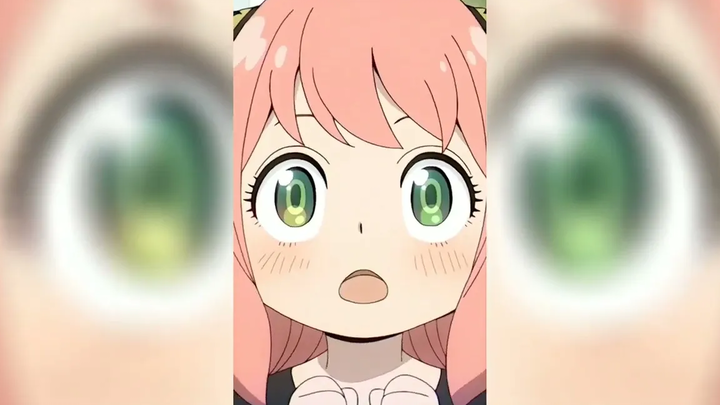 Spy x Family - รวบรวม