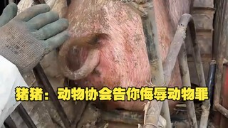 จูจู: สมาคมสัตว์ฟ้องคุณฐานหมิ่นประมาทสัตว์