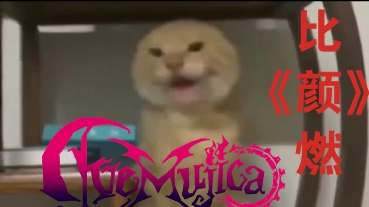 رقصة شبابية مثيرة للفيديو الموسيقي "يان" (أرسلها للأصدقاء الذين يحبون اللون الأحمر)