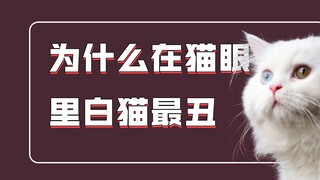 为什么在猫眼里白猫最丑？