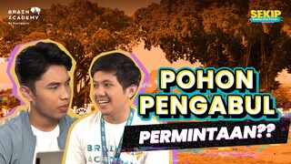 FAKTA DIBALIK POHON PENGABUL PERMINTAAN | Sekilas Info Pintar (SEKIP)