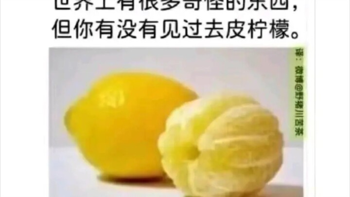 Một số hình ảnh độc lạ