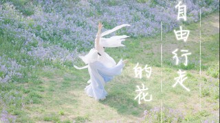 【自由行走的花】萨顶顶｜原创编舞｜“啦啦啦啦啦～我是自由行走的花”