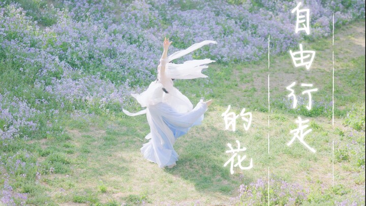 【自由行走的花】萨顶顶｜原创编舞｜“啦啦啦啦啦～我是自由行走的花”