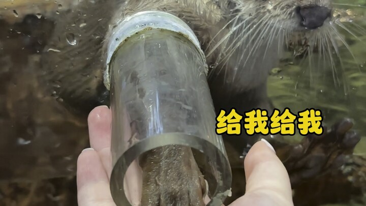 On a sweltering summer day in Changsha, just head to this indoor zoo for some fun!