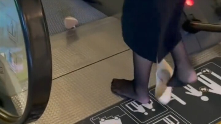 Lúc đến thì vẫn ổn, giờ không quay lại được nữa...