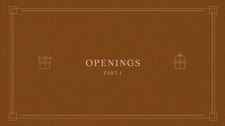 15. Openings - Part 1