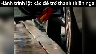 Hành trình lột xác ngoạn mục