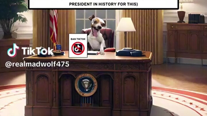 The US after TikTok, which garnered 420,000 likes overseas, was banned