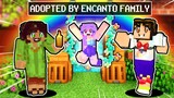 I GOT ADOPTED BY ENCANTO MIRABEL IN MINECRAFT