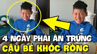 Cậu bé bật khóc nức nở vì mẹ cho ăn trứng 4 ngày liên tiếp | TIN GIẢI TRÍ