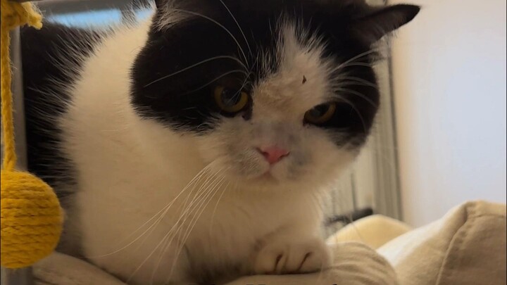 It’s so funny I’m laughing—my kid just came home from mining coal!