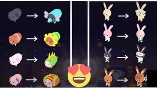 PLAY TOGETHER l Tổng Hợp Video TikTok Hài Hước - Hình Dáng Tiến Hóa Siêu Cute Của Thú Cưng