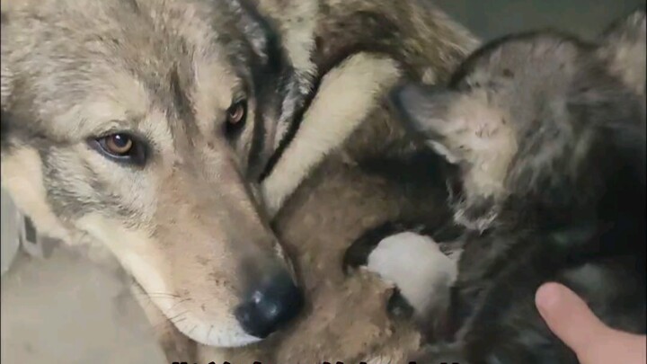 Both father and son are a bit confused.