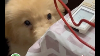 Được yêu thì chẳng sợ gì