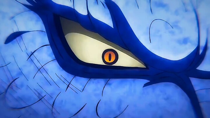 大妈和凯多也算是认识很久了