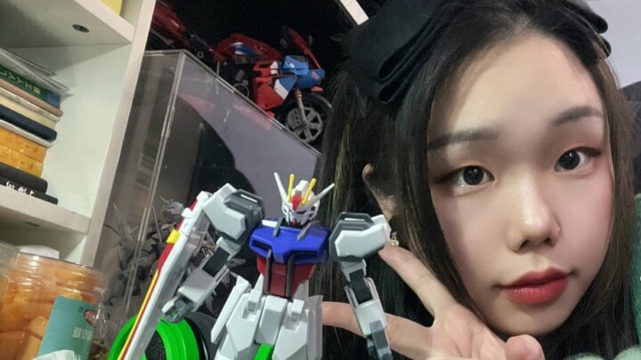 Sê-ri Bandai EG/Strike gundam/Trải nghiệm lần đầu chơi mô hình/Bắt đầu cho người mới bắt đầu/Lựa chọ