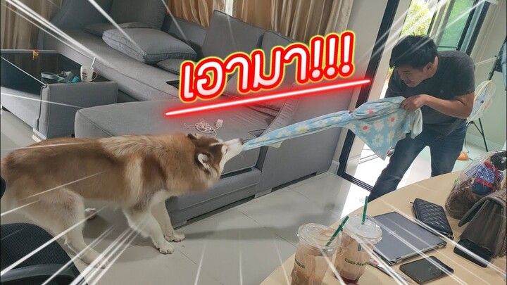 สิกัดให้ขาดดังแคว๊กกกกเลยนะ