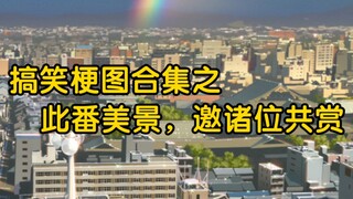 此番美景，邀诸位共赏