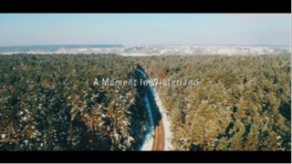 Forest Cinematic _ A Moment In Winterland _ Lumix GH5 _ Mavic 2 Pro