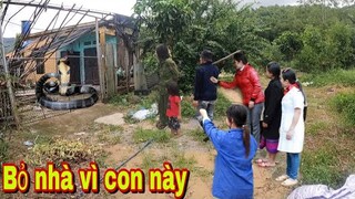 Gia Đình Có 5 Người Phụ Nữ Phải Bỏ Nhà Nánh Nạn Vì Phát Hiện Hổ Chúa Và Kết Quả Khi Thắm Bẫy .