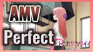 Perfect AMV