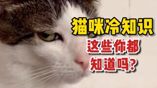 What other little-known facts about cats do you know?