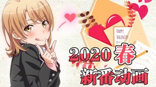 「2020年4月新番」你的笑，你的泪，牵动着我的心 ~