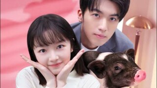 My Piggy Boss eps 9-12 end [sub indo]