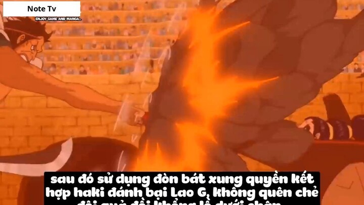 Top 7 Bộ Võ Công Quyền Cước Trong One Piece #16- 6