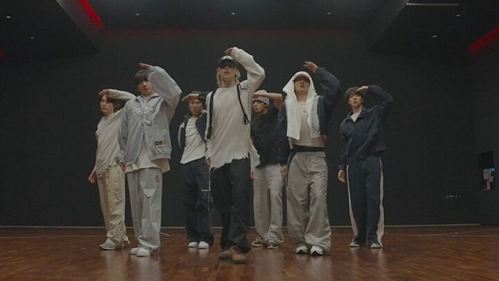 [WNS Chinese Subtitles] 260326 BTS 'SWIM' Dance Practice