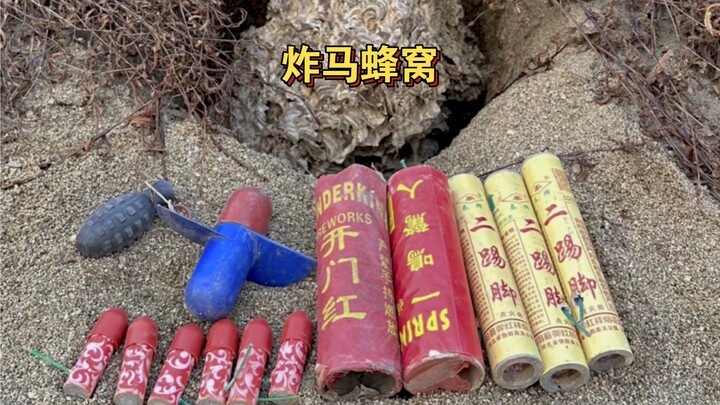 “Trình diễn pháo hoa nhập vai” – Nổ tổ ong vò vẽ