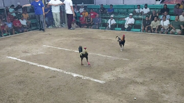 Bakbakan 3Stag Elims Edwards Col 11/7/2025 2nd Fight Win