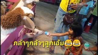 งานวัดปี2562ที่วัดมะขามเดี่ยว มีอะไรมั้ง???