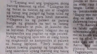 Pang Araw Araw na Talata                Exodus 28:31-39