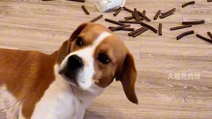 Kamu malah pakai ini untuk uji Si Bi kecil kita?!