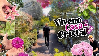 VIVERO DE CRISTAL con más de 90 AÑOS DE HISTORIA - The Palace Gardener REINO UNIDO!!!