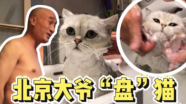 Beijing Old Man Washes Cat Like He’s Polishing a Walnut? So Calm, He Looks Like a Fake Cat!
