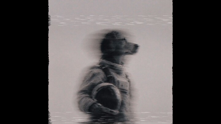 Maxwell Bruno - DOG GO TO THE MOON (BITCOIN RUNES)