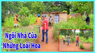 Hùng KaKa || Khám Phá Thú Vị - Ngôi Nhà Của Những Loài Hoa