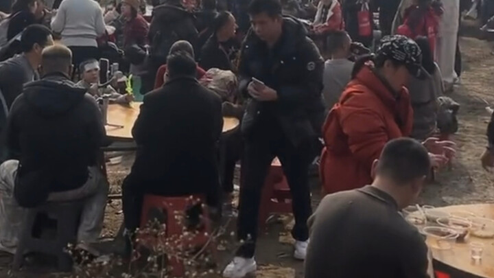 Tôi đã cẩn thận tra thông tin về Daidai ở Hechuan; nếu không tìm hiểu thì chẳng biết, hóa ra lý do D