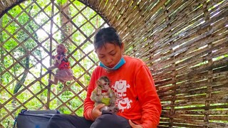 Tiny adorable Toto & Yaya are happily playing & jumping around Mom in the bamboo house