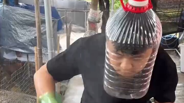 Di abad ke-21 ini, ternyata masih ada Qi Min Yao Shu