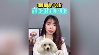 Bạn có tin có thể kiếm được 100tr từ nghề thú cưng? chó chó_cưng thúcưng grooming groomer xuhuong thybian