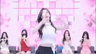 Panda Class Korea #9