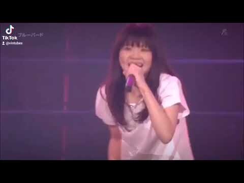 Lagu Naruto Versi Dangdut | ikimono gakari - Blue birds WIBU PANTURA !! Part 2