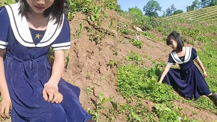 ลูกสาวเลือกทำงานบ้านแทนที่จะทำการบ้าน แม่จึงยอมตามใจเธอ สุดท้ายเด็กหญิงถึงกับร้องไห้โฮจนทนไม่ไหว