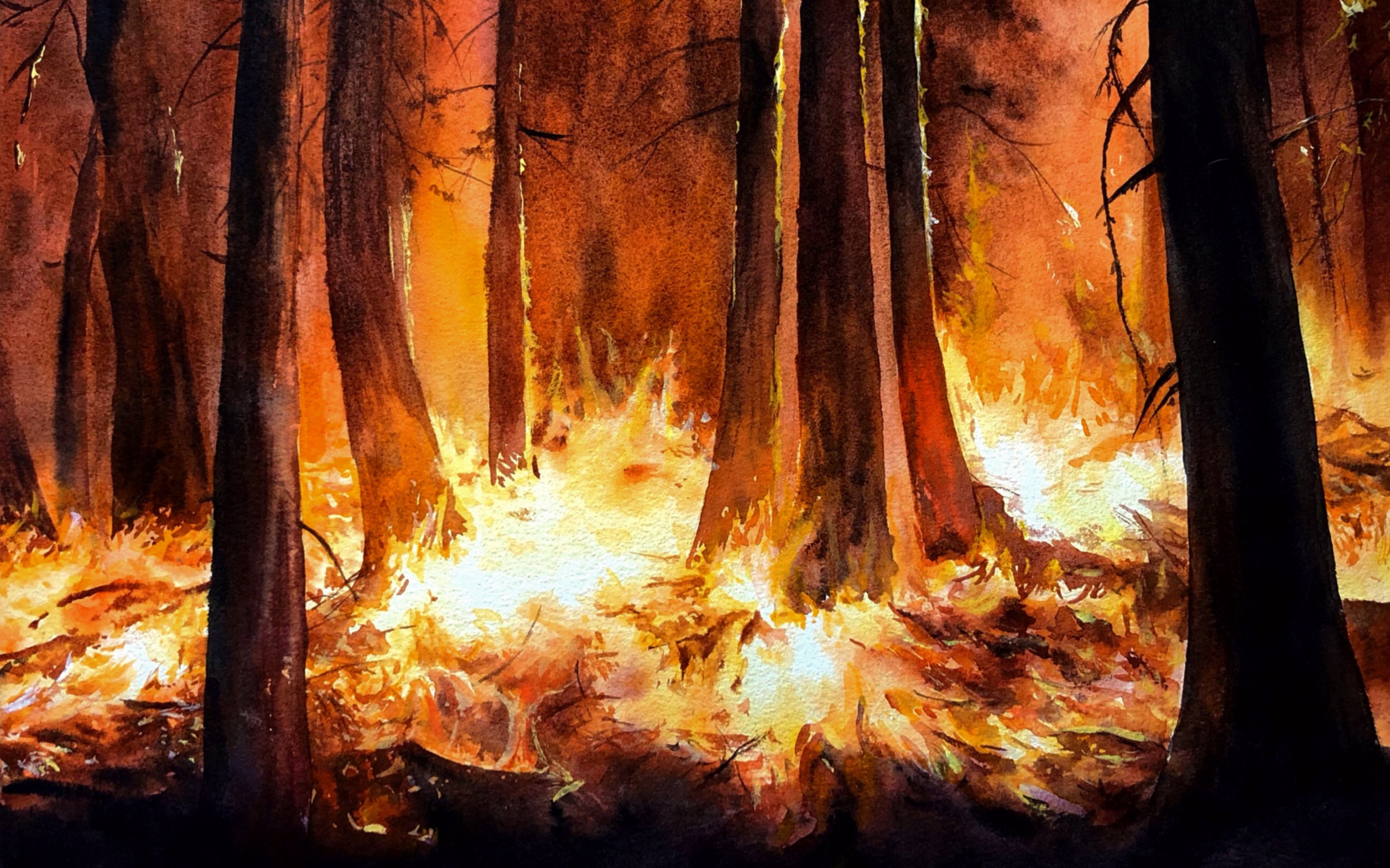 Chia sẻ 74 tranh vẽ cháy rừng không thể bỏ qua  Tin Học Vui